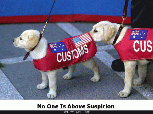   :)-singles.customs.dog.gif