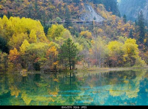 Beautiful photos from around the world.....-fall-trees-lake.jpg