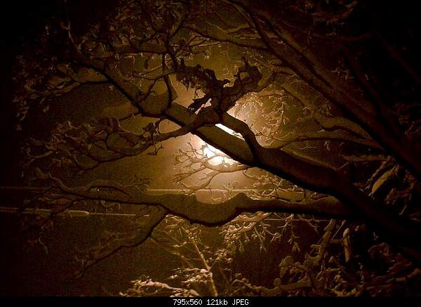 Beautiful photos from around the world.....-spooky-moon.jpg