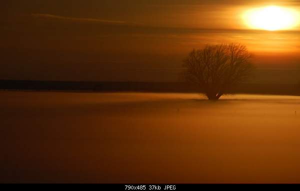 Beautiful photos from around the world.....-fog-dubois-idaho-usa.jpg