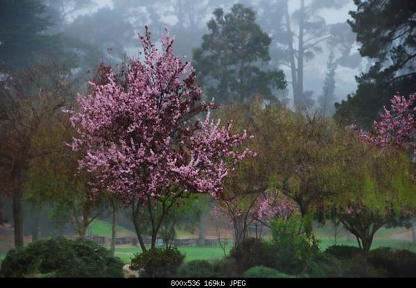 Beautiful photos from around the world.....-waller-park-california.jpg