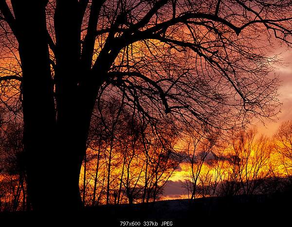 Beautiful photos from around the world.....-march-2-2010-hronsek-slovakia.jpg