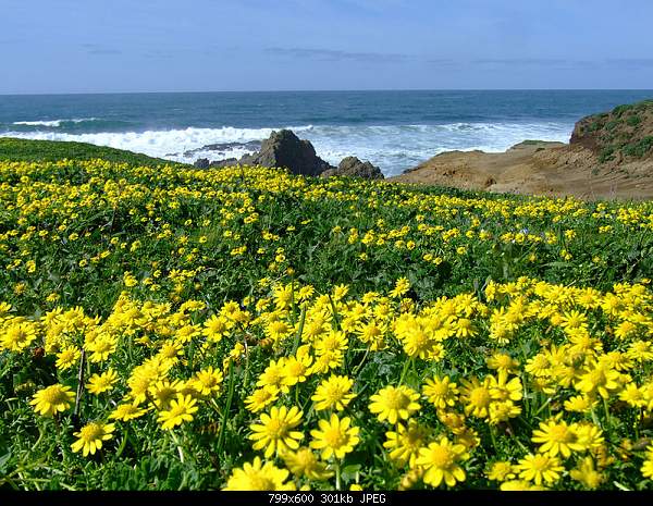 Beautiful photos from around the world.....-thursday-march-4-2010-fort-bragg-ca.jpg