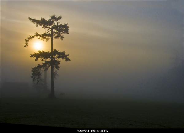 Beautiful photos from around the world.....-fog.jpg