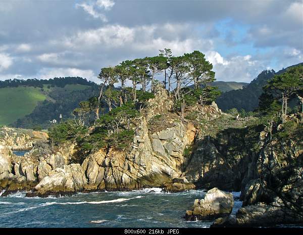 Beautiful photos from around the world.....-point-lobos-state-reserve-ca.jpg