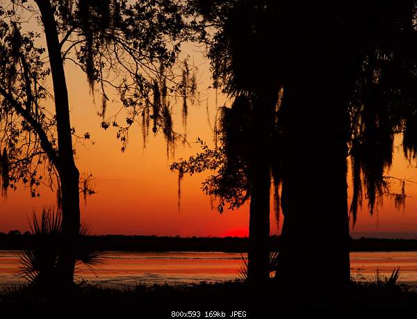 Click image for larger version

Name:	Saturday March 6, 2010 Jekyll Island, GA.jpg‎
Views:	62
Size:	169.4 KB
ID:	14931