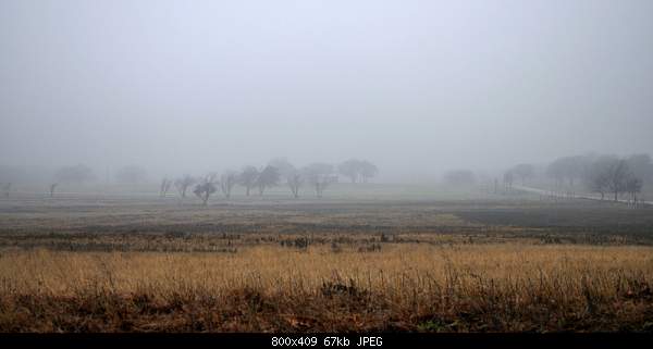 Beautiful photos from around the world.....-fog.jpg
