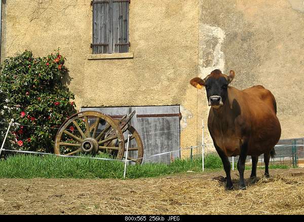 Beautiful photos from around the world.....-wednesday-march-17-2010-la-mole-var-france.jpg