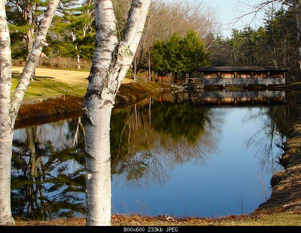 Beautiful photos from around the world.....-friday-march-19-2010-kennebunk-me.jpg