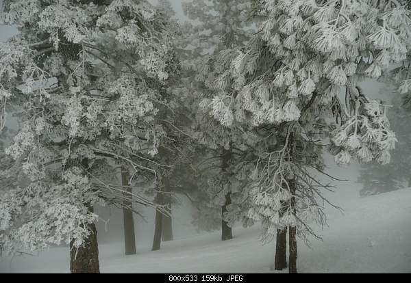 Beautiful photos from around the world.....-tuesday-march-16-2010-wrightwood-ca.jpg