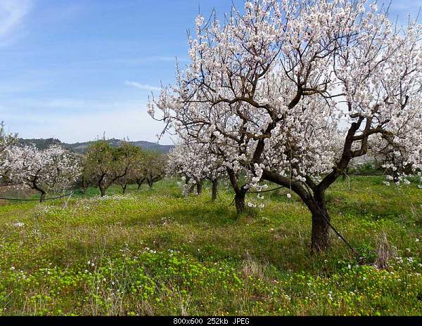 Beautiful photos from around the world.....-saturday-march-20-2010-tortosa-spain.jpg