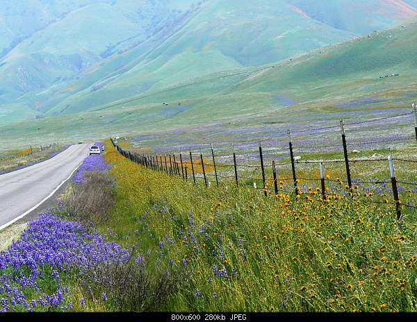 Beautiful photos from around the world.....-photo-taken-along-highway-223-east-of-arvin-ca.jpg