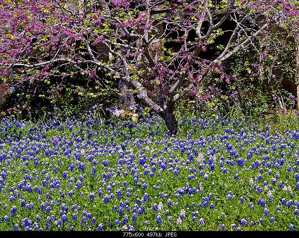 Beautiful photos from around the world.....-wednesday-march-31-2010-elgin-tx.jpg