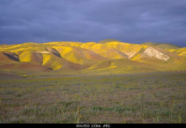 Beautiful photos from around the world.....-friday-april-2-2010-carrizo-plain-national-monument-ca.jpg