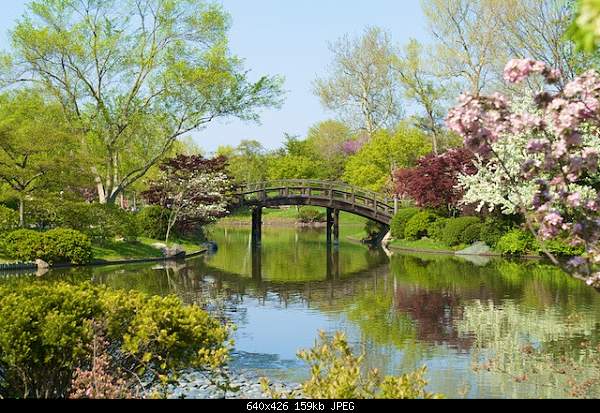 Beautiful photos from around the world.....-japanese-garden-missouri-botanical-gardens-st.-louis-mo.jpg