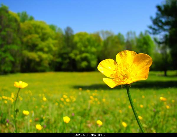 Beautiful photos from around the world.....-thursday-april-15-2010-lexington-nc.jpg