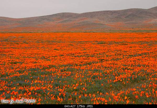 Beautiful photos from around the world.....-sunday-april-11-2010-lancaster-ca.jpg