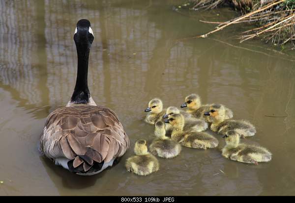 Beautiful photos from around the world.....-thursday-april-15-2010-reno-nv.jpg