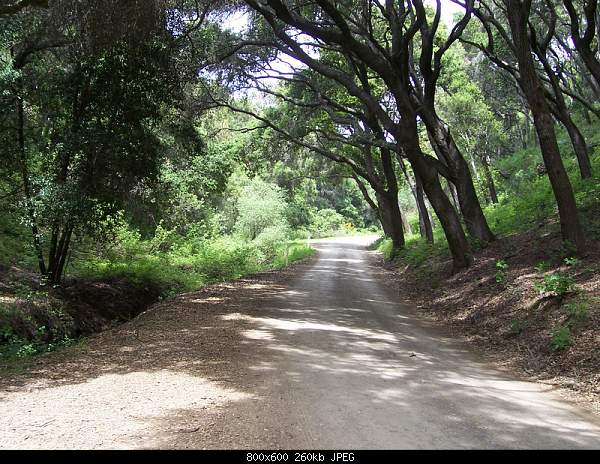 Beautiful photos from around the world.....-sunday-april-18-2010-san-luis-obispo-ca.jpg