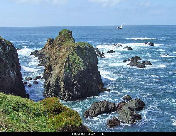 Beautiful photos from around the world.....-wednesday-april-14-2010-fort-bragg-ca.jpg