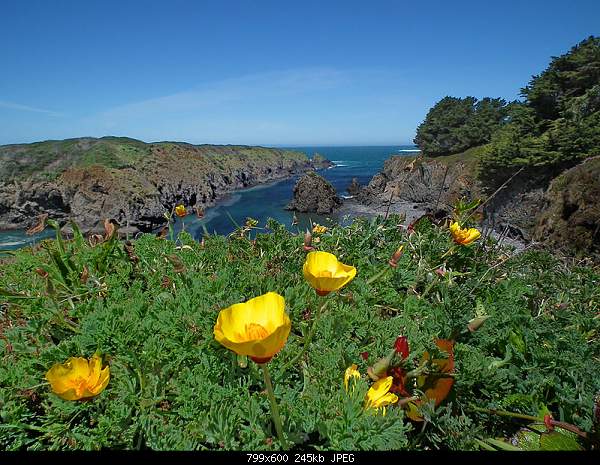 Beautiful photos from around the world.....-saturday-may-1-2010-mendocino-ca.jpg