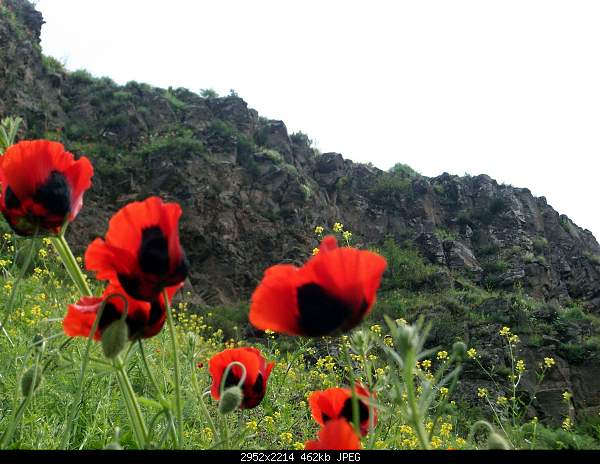  /Photos of Armenia-100_1052.jpg