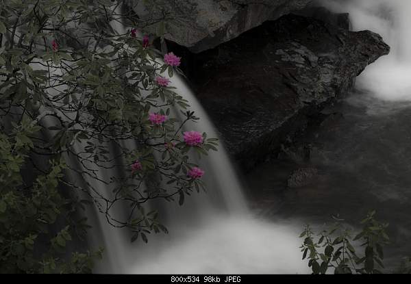 Click image for larger version

Name:	Glade Creek (Babcock, WV) and rhododendron.jpg‎
Views:	79
Size:	97.6 KB
ID:	16376