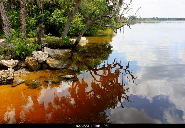 Beautiful photos from around the world.....-thursday-may-20-2010-parrish-fl.jpg