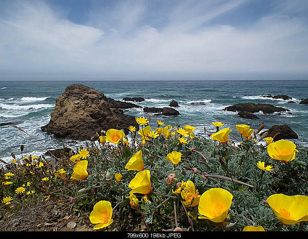 Beautiful photos from around the world.....-wednesday-june-23-2010-fort-bragg-ca.jpg