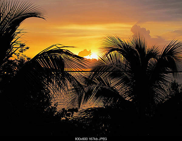 Beautiful photos from around the world.....-wednesday-july-7-2010-lower-sugarloaf-key-fl.jpg