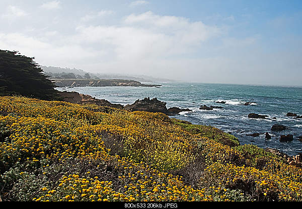 Beautiful photos from around the world.....-monday-july-19-2010-cambria-ca.jpg