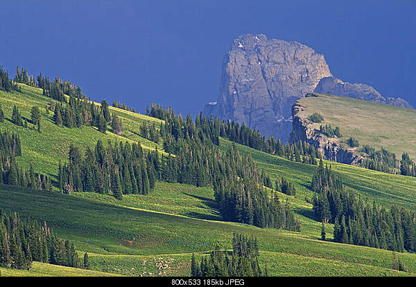 Beautiful photos from around the world.....-wednesday-august-4-2010-wy.jpg