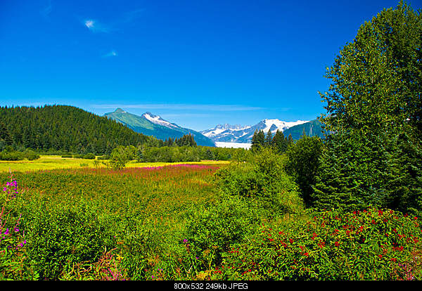Beautiful photos from around the world.....-on-the-banks-of-the-mendenhall-river.-saturday-juneau-alaska-usa.jpg