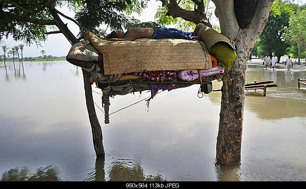 Beautiful photos from around the world.....-flood-hammock.jpg
