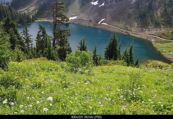 Beautiful photos from around the world.....-flowers-decorate-the-hillside-above-the-upper-twin-lake.-mt-baker-wilderness-washington..jpg