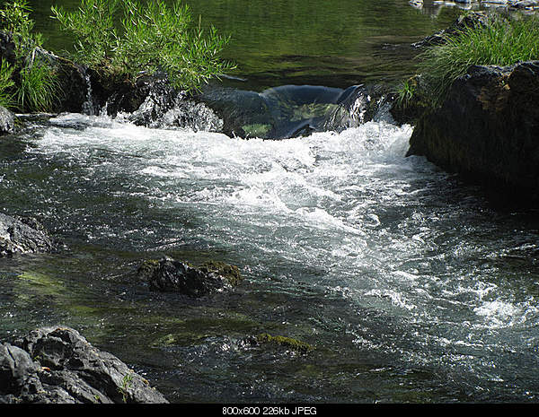 Beautiful photos from around the world.....-patricks-creek-california....aug.-30th-2010.jpg