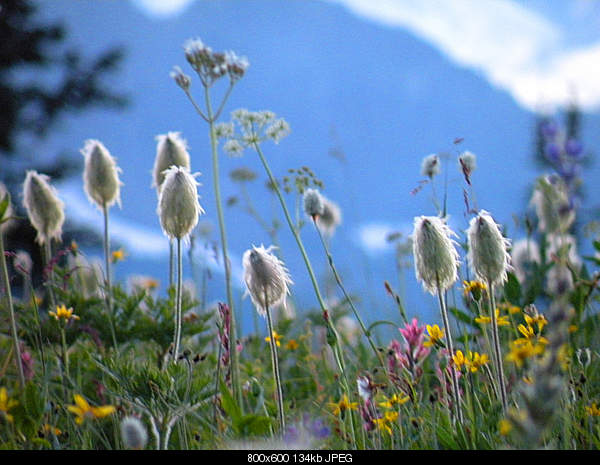 Beautiful photos from around the world.....-saturday-august-28-2010-packwood-wa.jpg