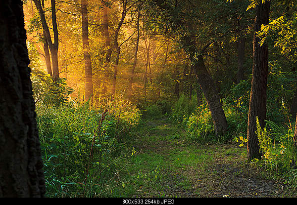 Beautiful photos from around the world.....-wooded-path-in-lindenwood-park-fargo-north-dakota-usa-9-8-2010.jpg