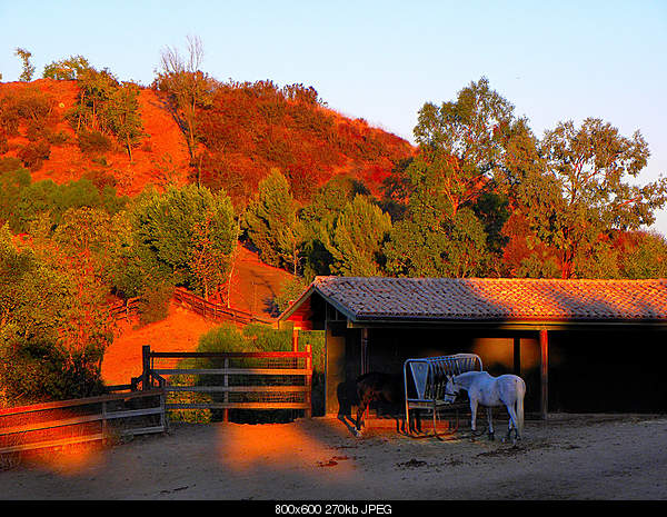 Beautiful photos from around the world.....-sunday-september-12-2010-malibu-ca.jpg