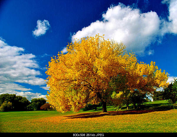 Beautiful photos from around the world.....-saturday-october-2-2010-dewitt-ny.jpg