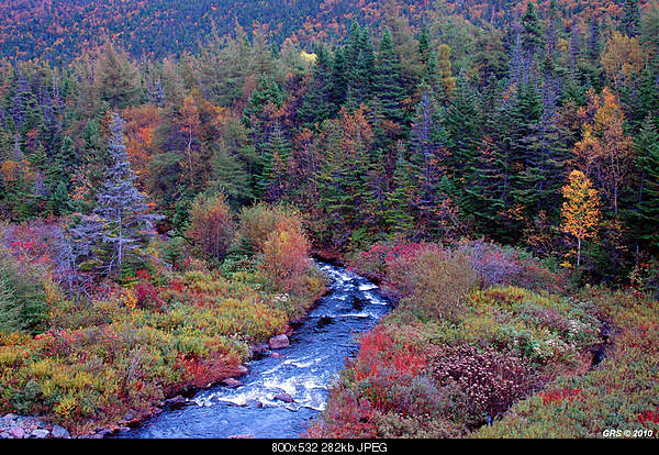 Beautiful photos from around the world.....-thursday-october-7-2010-north-river-nl-canada.jpg