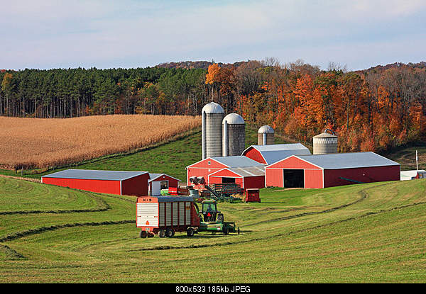 Beautiful photos from around the world.....-sunday-october-10-2010-tomah-wi.jpg