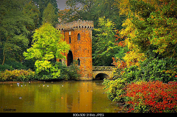 Beautiful photos from around the world.....-tuesday-october-19-2010-brasschaat-belgium.jpg