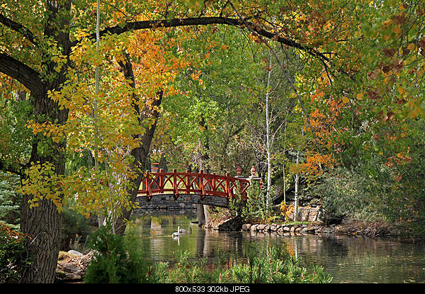 Beautiful photos from around the world.....-monday-october-18-2010-reno-nv.jpg