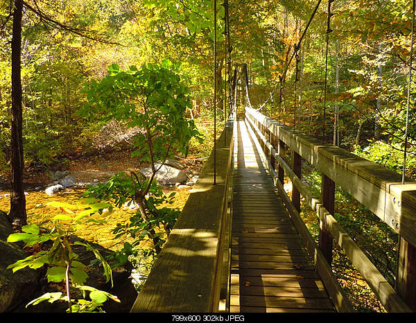 Beautiful photos from around the world.....-saturday-october-16-2010-montebello-va.jpg