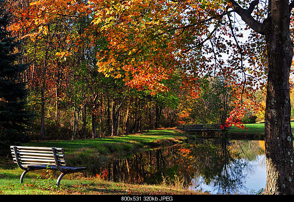 For JESUS Bible citations    Մեջբերումներ Աստվածաշնչից-sunday-october-17-2010-zackys-pond-east-stroudsburg-pa.jpg