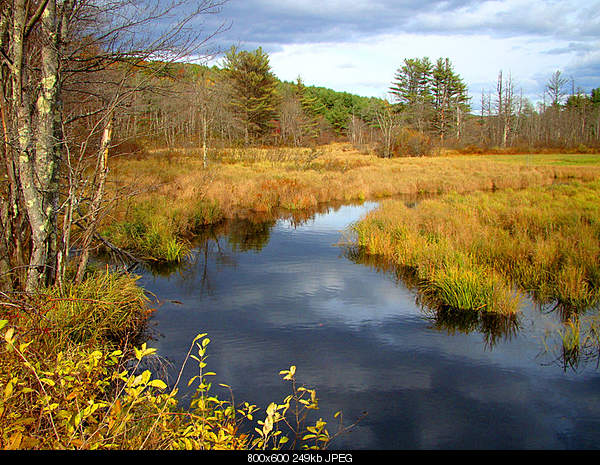 Beautiful photos from around the world.....-tuesday-october-19-2010-harrisville-nh.jpg