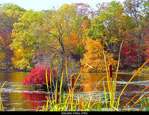 Beautiful photos from around the world.....-tuesday-october-26-2010-yonkers-ny.jpg