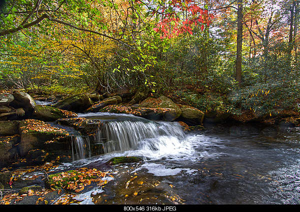 Click image for larger version

Name:	Saturday October 23, 2010 Robbinsville, NC.jpg‎
Views:	89
Size:	316.0 KB
ID:	19958