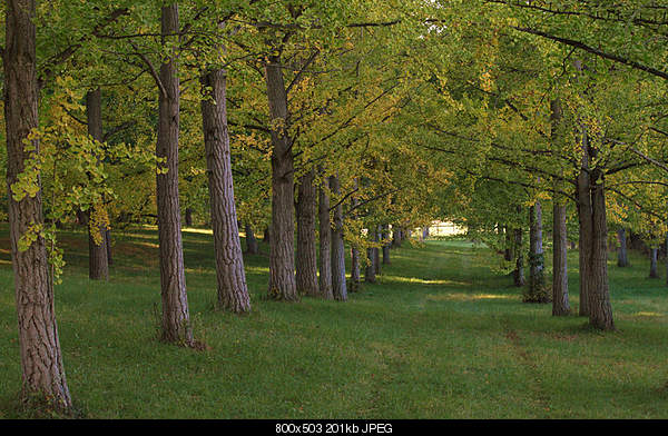 Beautiful photos from around the world.....-monday-october-25-2010-boyce-va.jpg